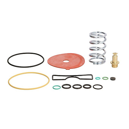 Kituri de reparare a reductorului Vaporizer repair kit Spring Valve reducer: GENIUS MB BRC LPG BRC/Z1500