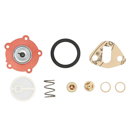 Set reparatie pompa combustibil LANDINI GREEN ENGITECH ENT110287