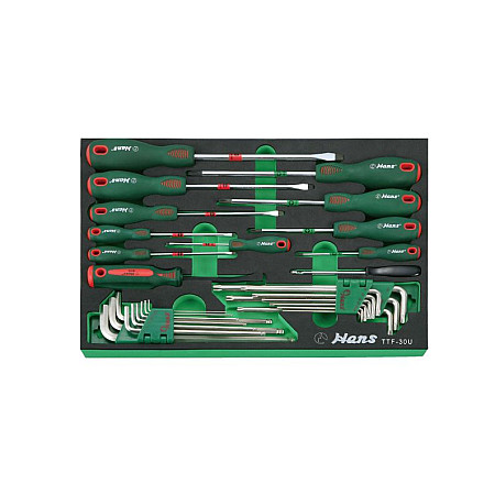 Unelte (inserturi) pentru carucioare Introduceti tava cu instrumente pentru carucior setul de instrumente 30 szt. dimensiune cartus: 410x285 mm HANS TTF-30U