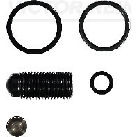 Chit reparatie, unitate pompa-diuza Trusa de reparatie a injectorului de pompa cu surub AUDI A3 A4 B7 SEAT ALTEA ALTEA XL LEON TOLEDO III SKODA OCTAVIA II VW GOLF V JETTA III PASSAT B6 1.9D/2.0D 05.03- REINZ 15-42119-01